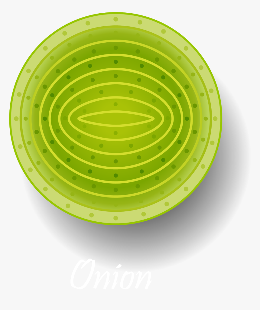 Frisbee Png, Transparent Png
