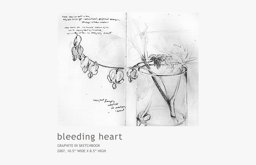 Bleeding Heart Png, Transparent Png