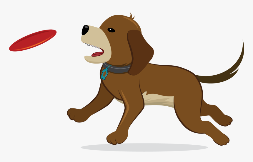 Image18 Dog Jumping For A Frisbee, HD Png Download