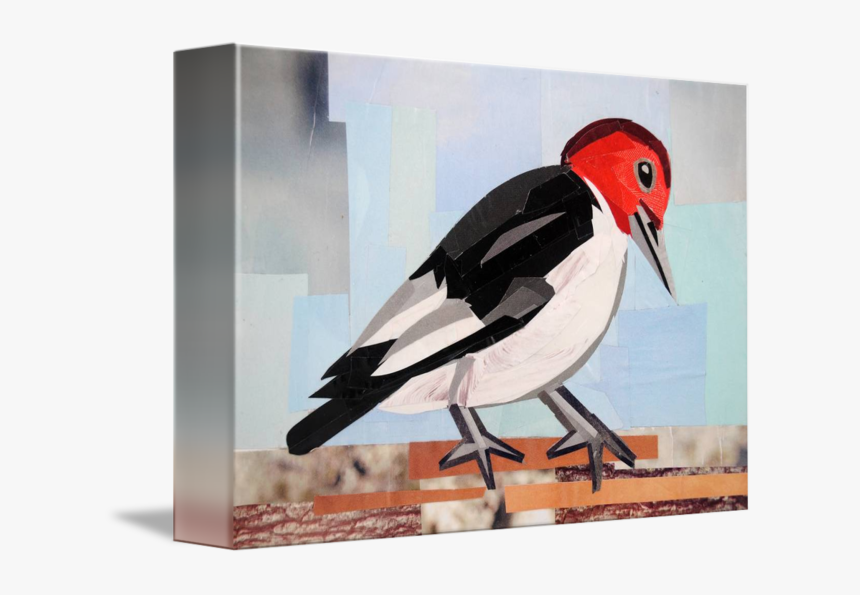 Clip Art Carpenter Bird, HD Png Download