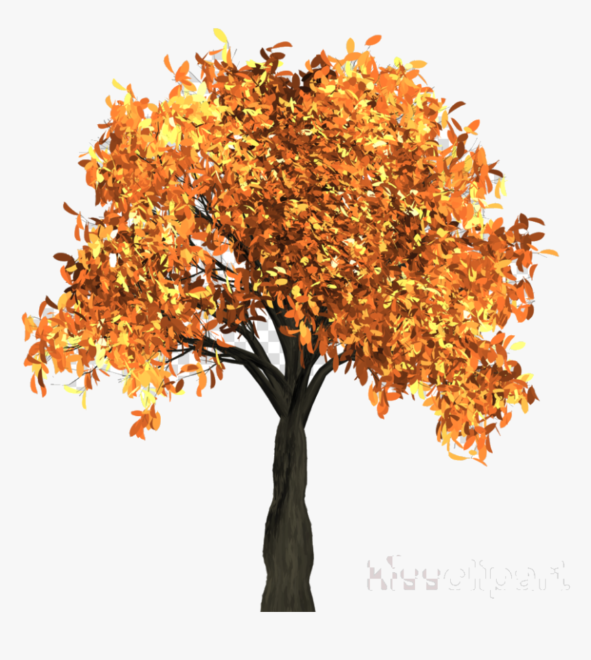 Fall Tree Transparent Clipart Clip Art Png, Png Download
