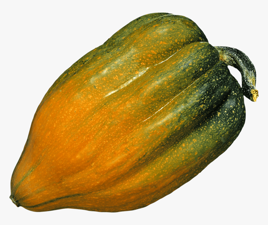 Pumpkin, HD Png Download