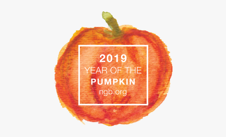 Pumkin Png, Transparent Png