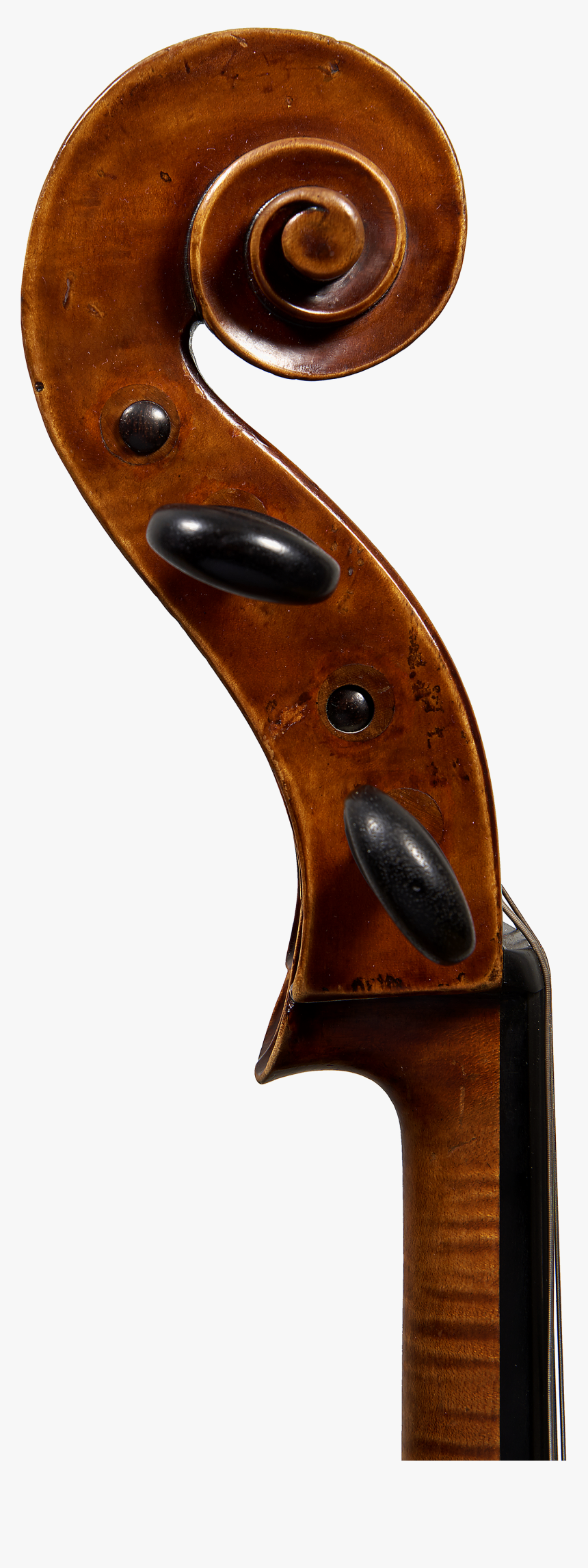 Cello Png, Transparent Png