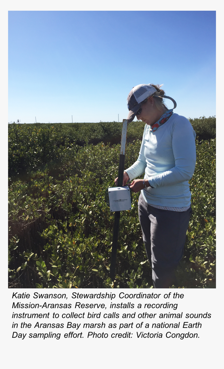 Ed2019, HD Png Download