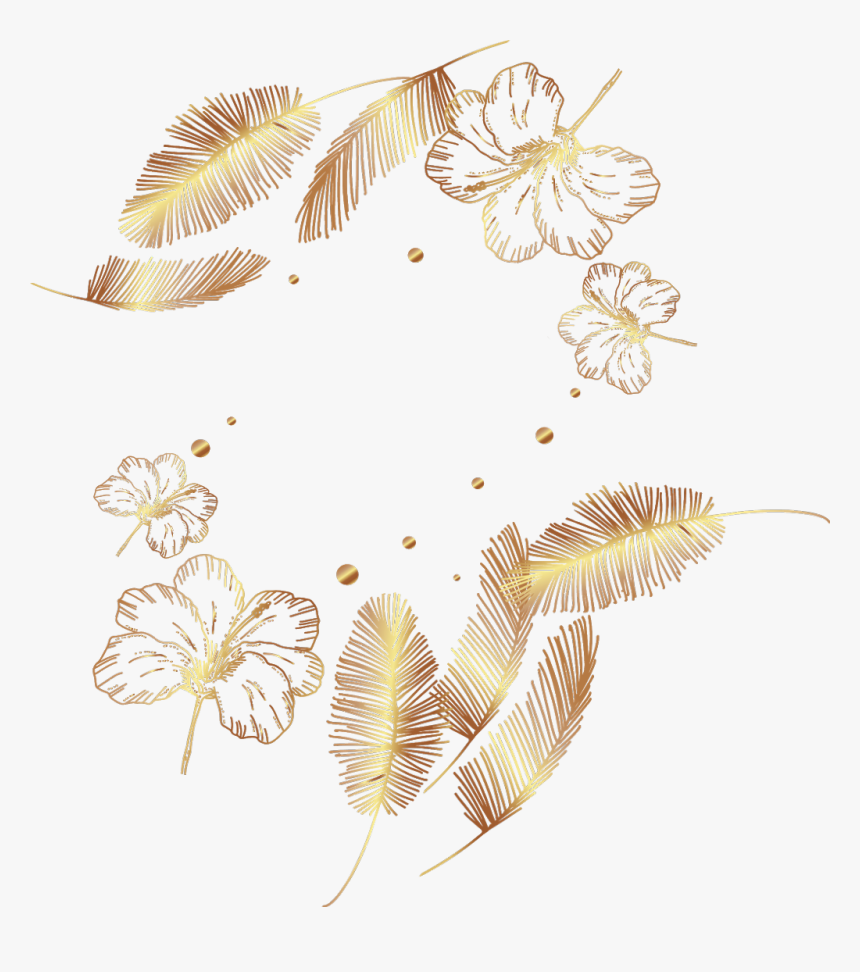 #frame #border #divider #feathers #feather #filigree, HD Png Download