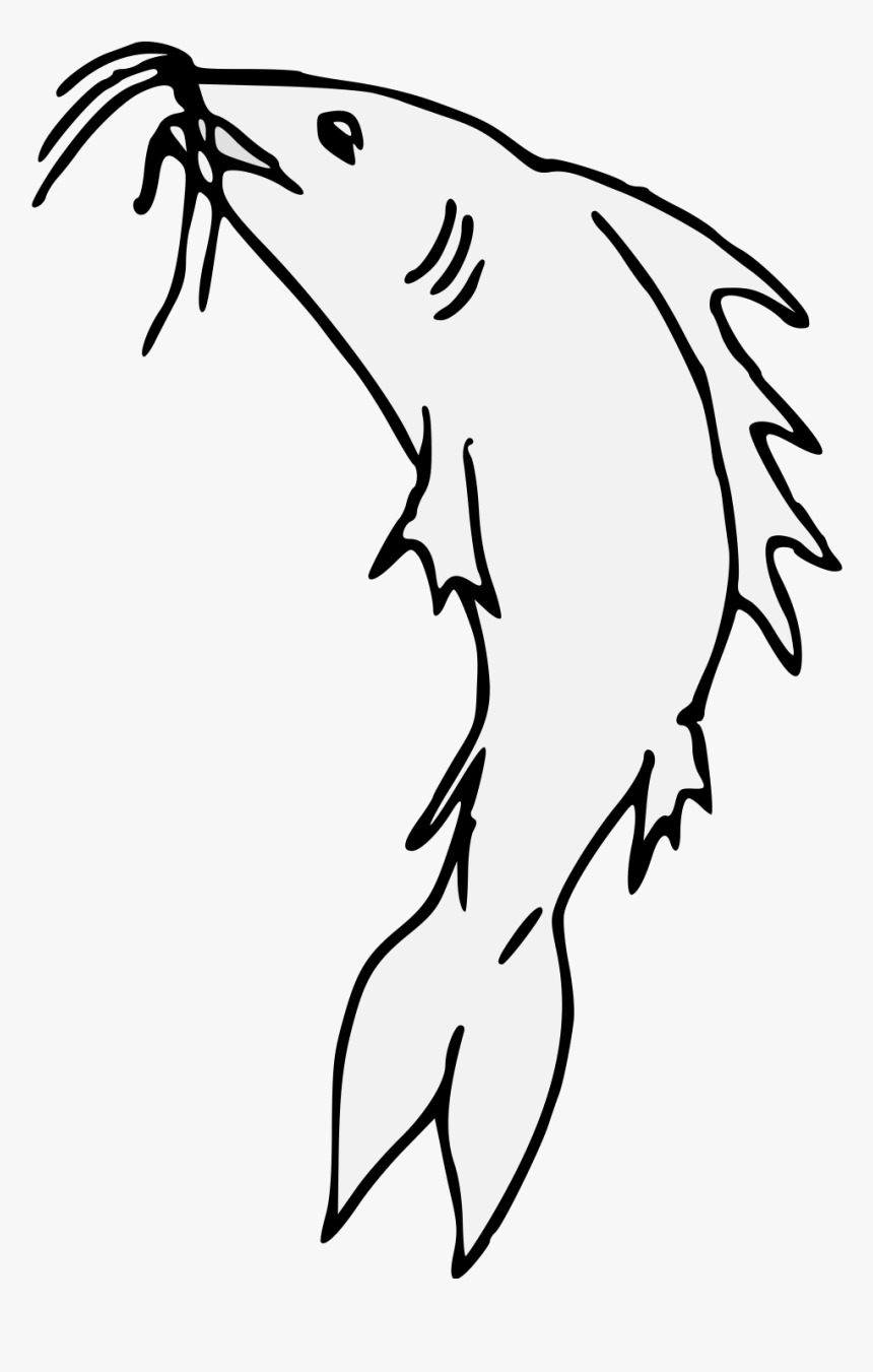 Catfish Png, Transparent Png