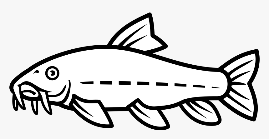 Catfish Vector By Nico, HD Png Download