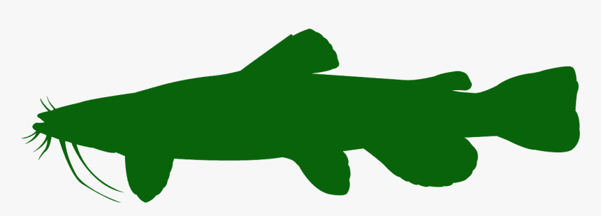 Catfish Png, Transparent Png