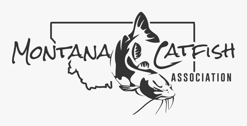 Montana Catfish Association, HD Png Download