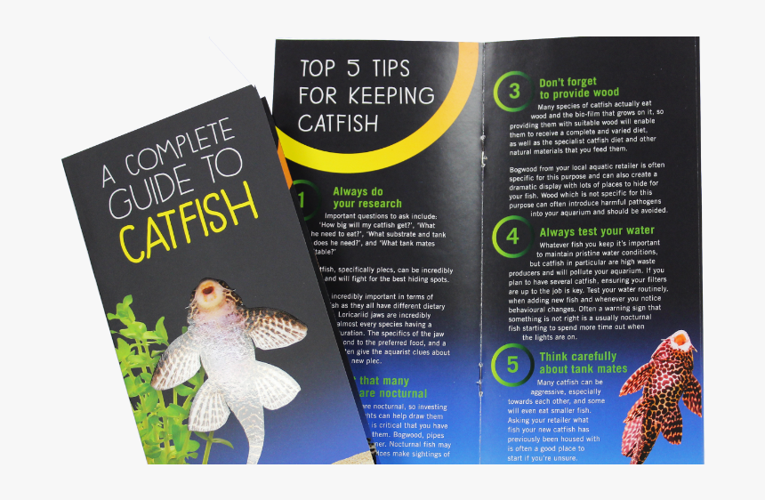 ‘catfish Need More Than Algae’, Claims New Campaign, HD Png Download