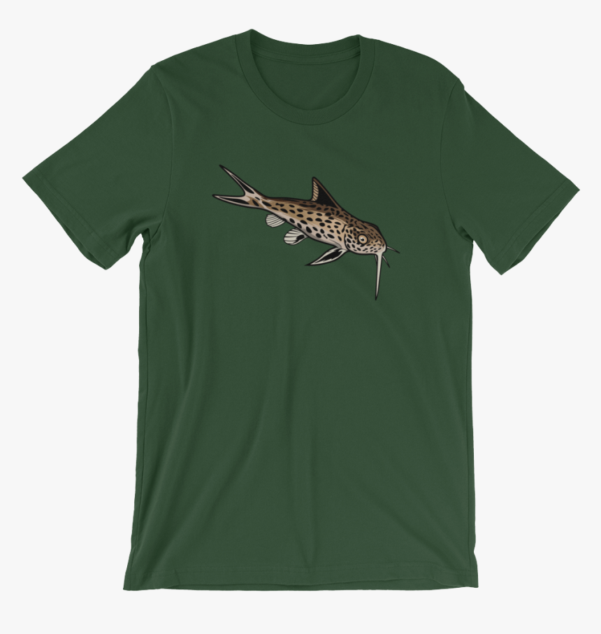 Catfish Png, Transparent Png
