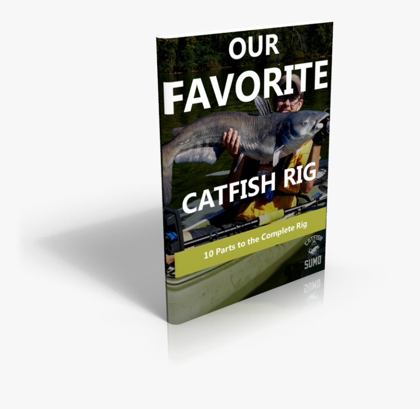 Catfish Png, Transparent Png