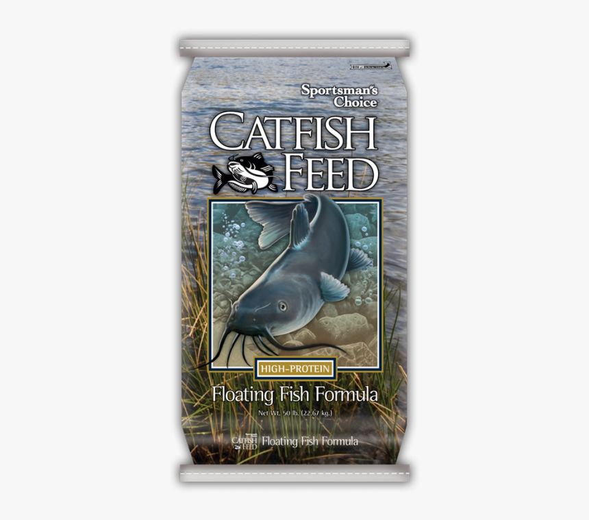 Catfish Png, Transparent Png