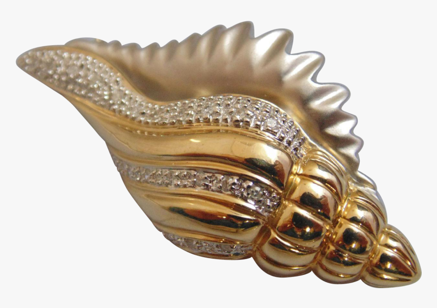 Conch Png Image Background, Transparent Png