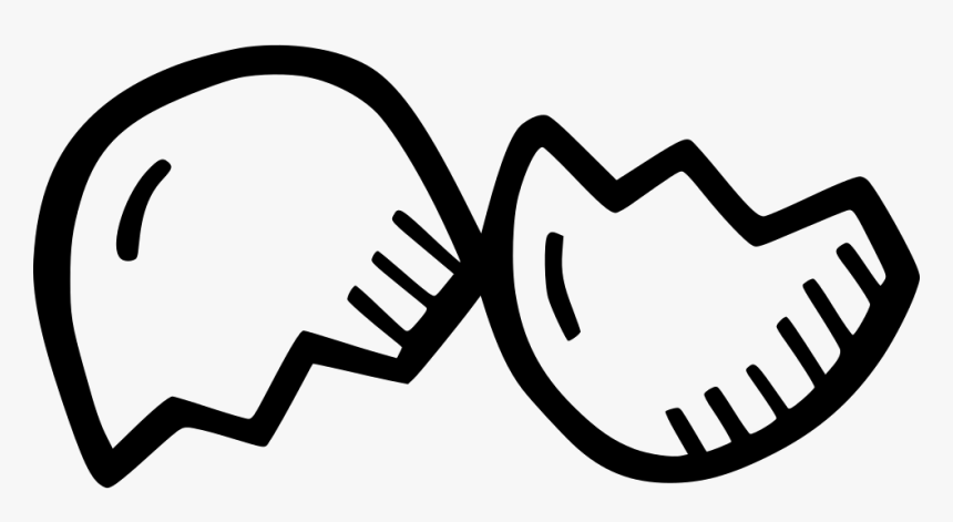 Shells, HD Png Download
