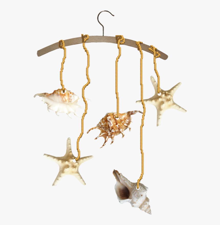 Tube Png Coquillages, Mer, Plage, Transparent Png