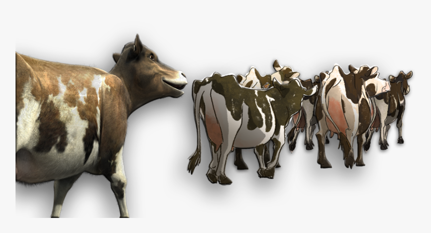 Rosie Withherd, HD Png Download