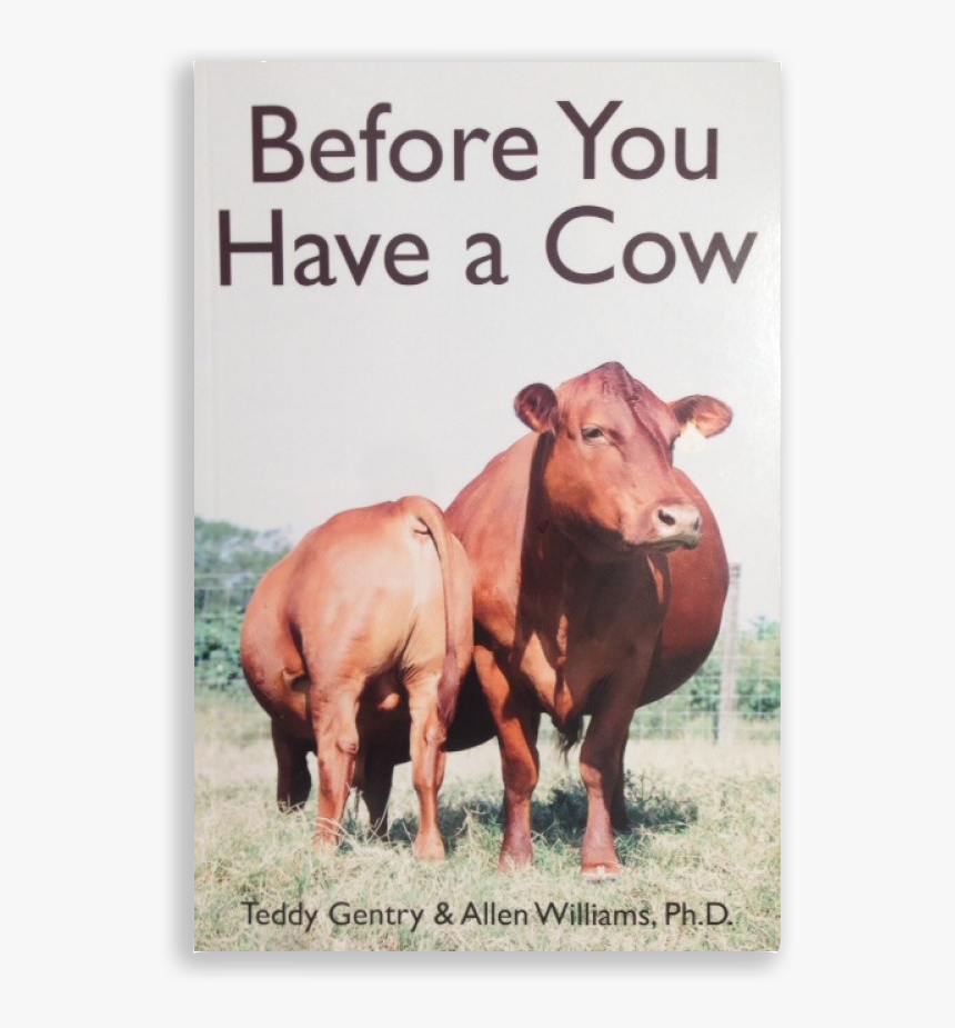 Before You Have A Cow, HD Png Download