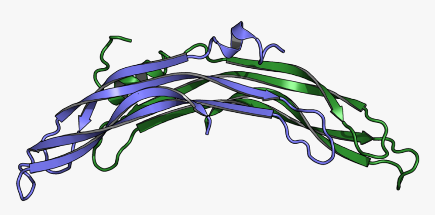 Protein Related To Dan And Cerberus [ 4jph ], HD Png Download