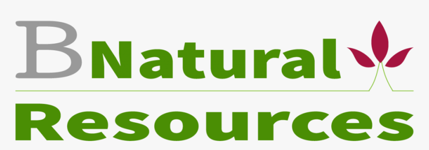 Webpng, Transparent Png