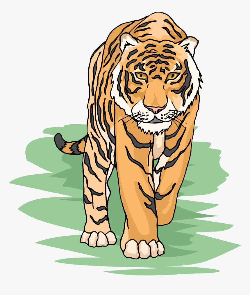 Tiger Clipart Cliparts And Others Art Inspiration, HD Png Download