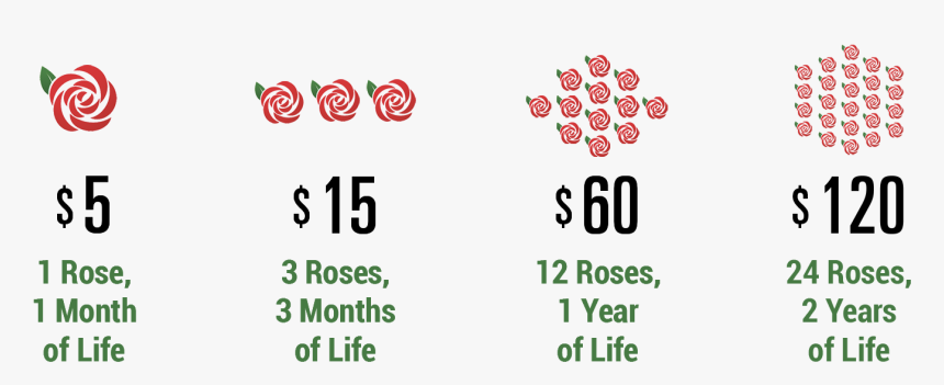 Usd Donation Suggestions $5, $15, $60, $120, HD Png Download