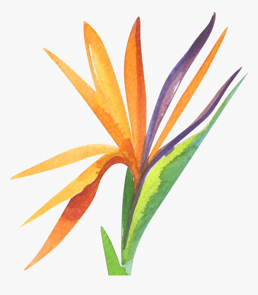 Service Or Sacrifice, HD Png Download