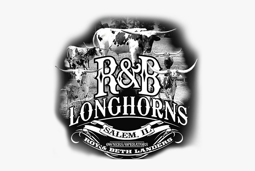 R & B Longhorns Logo - Illustration, HD Png Download