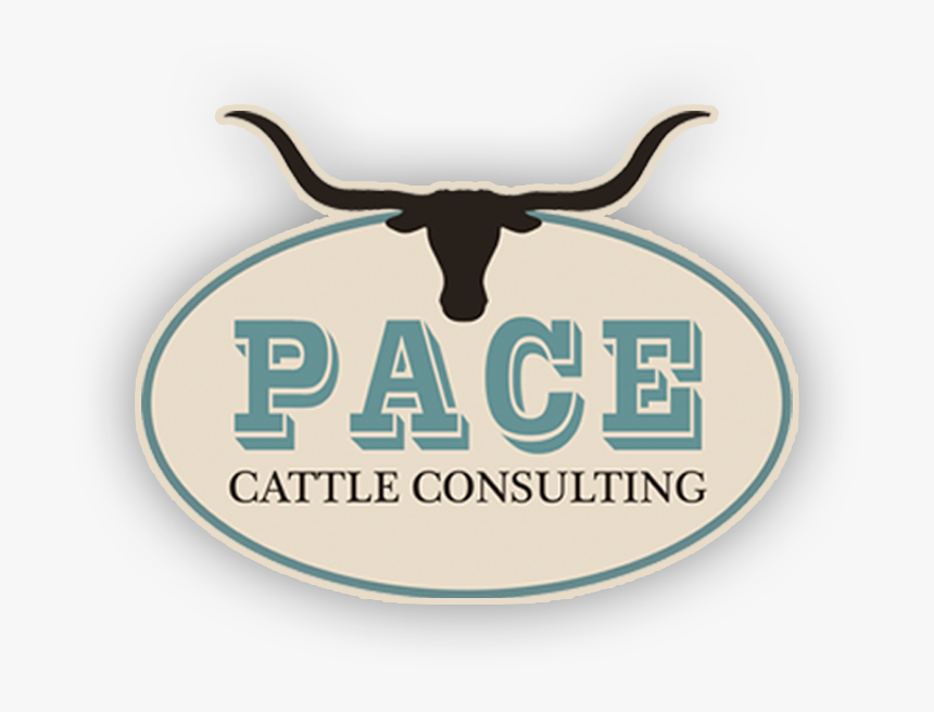 Transparent Texas Longhorns Png - Texas Longhorns, Png Download