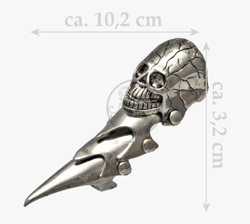 Armor Ring / Joint Ring - Parrot, HD Png Download