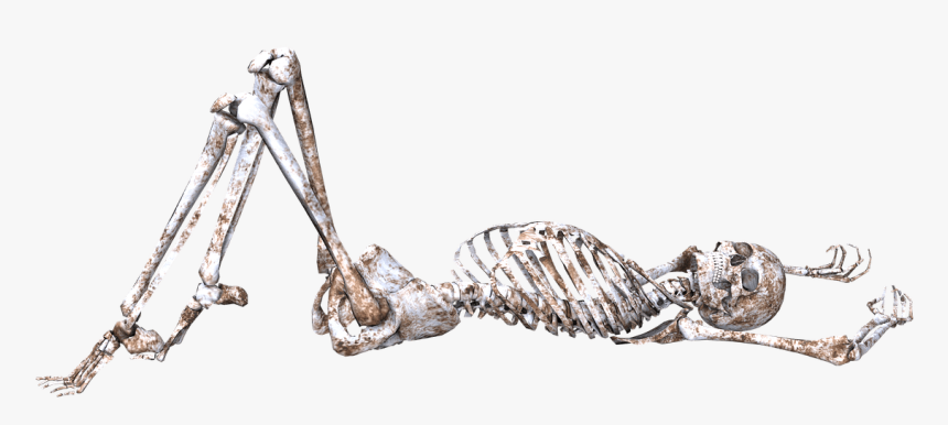 Skeleton Pose Skull Bones 3d Lying Down Png Skeleton Laying Down Transparent Png Transparent Png Image Pngitem
