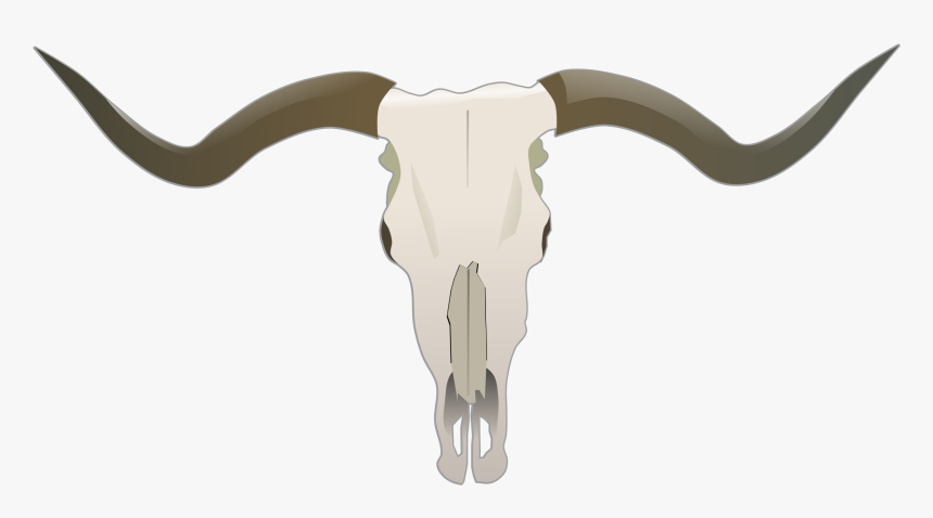 Skull Big Image Png - Longhorn Skull, Transparent Png