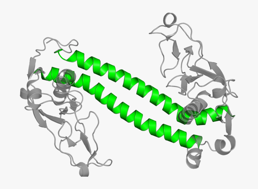 <div Class Caption-body - Cartoon, HD Png Download