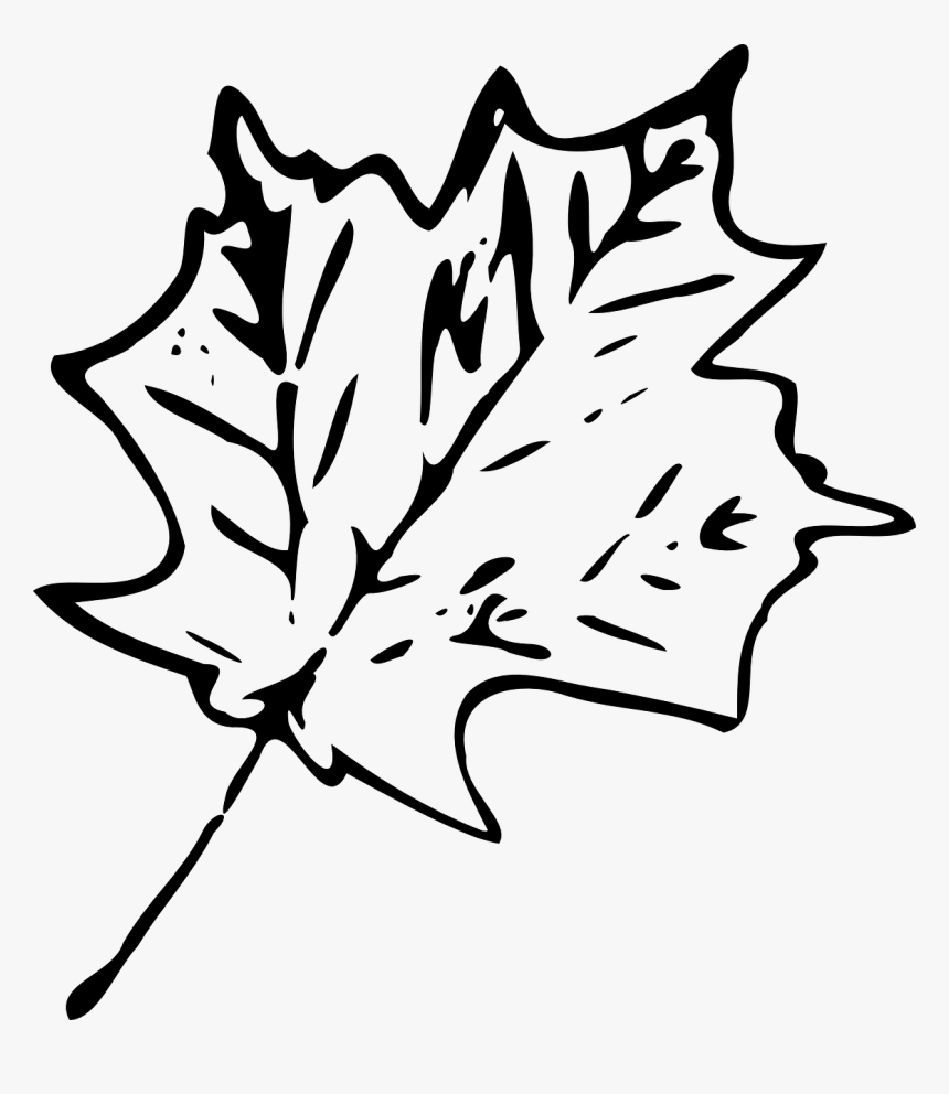 Black And White Clipart Png, Transparent Png