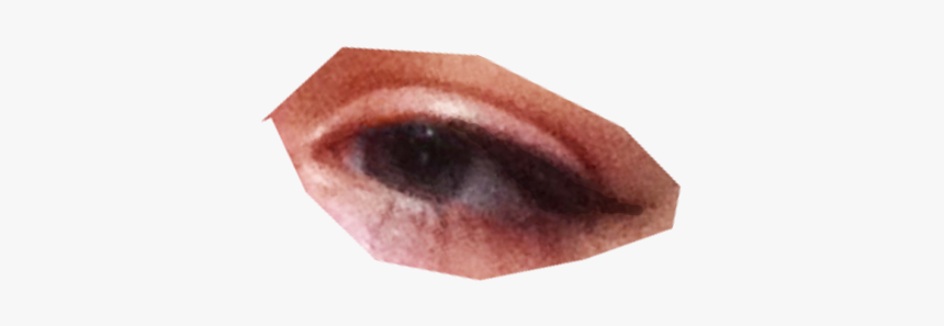 Fish, HD Png Download