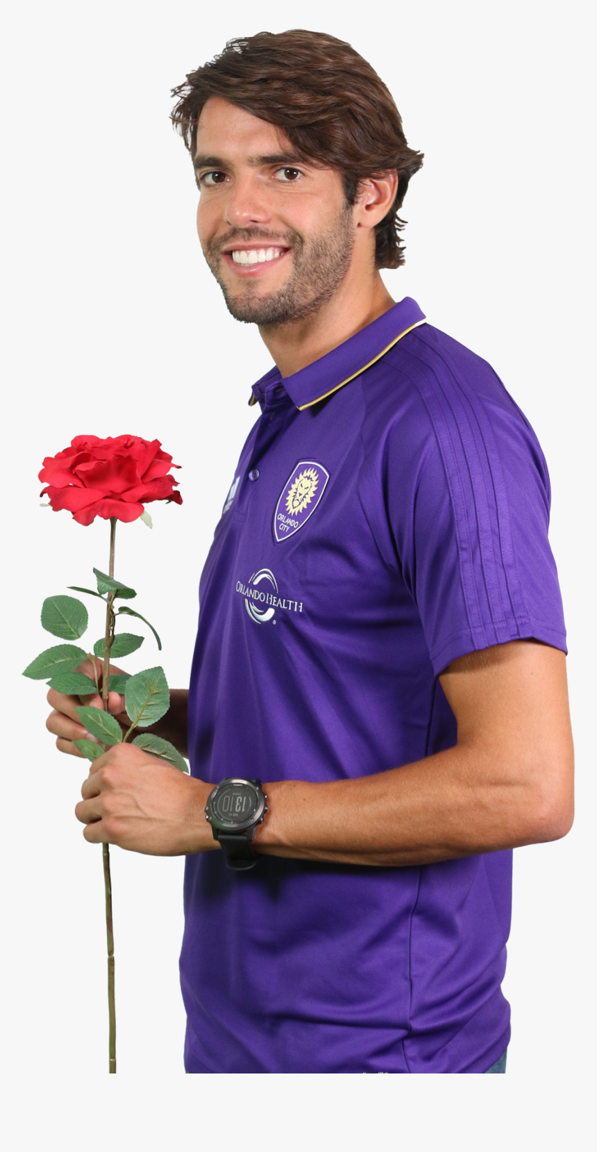 Garden Roses, HD Png Download