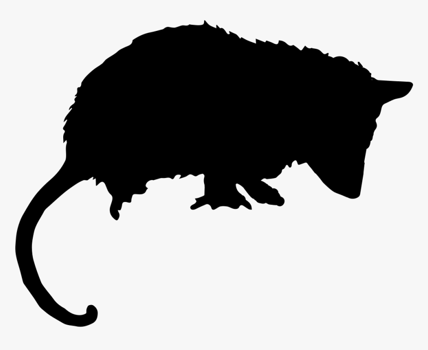 Opossum Mammal Animal Silhouette - Opossum Svg, HD Png Download