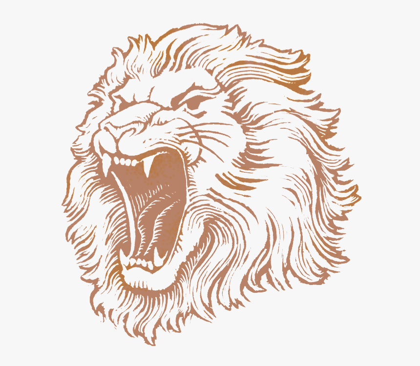 Lionshead Pilsner - Lion Brewery, Inc., HD Png Download