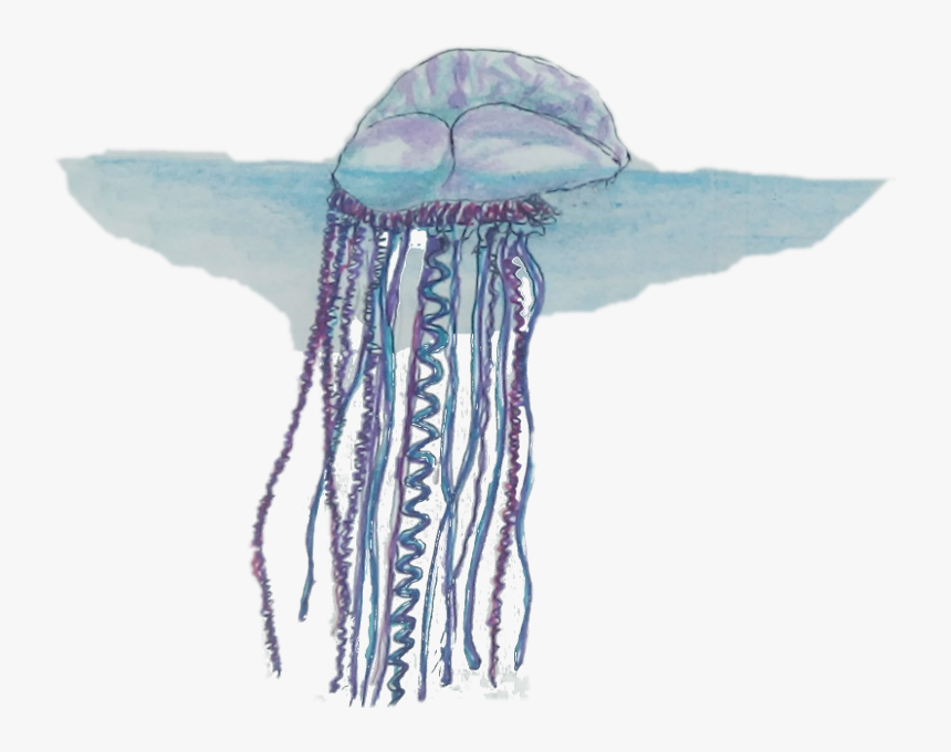 Transparent Man Laying Down Png - Drawings Of A Portuguese Man O War, Png Download