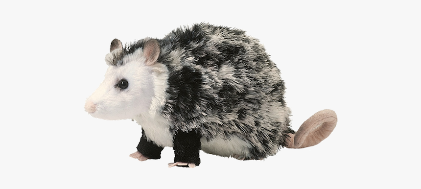 Oliver Possum, HD Png Download