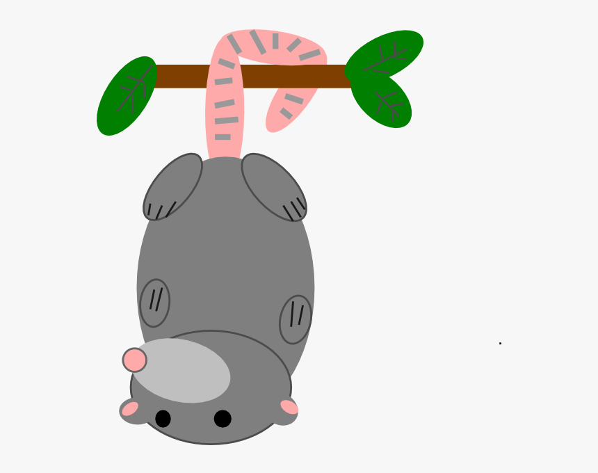 Opossum Clipart, HD Png Download