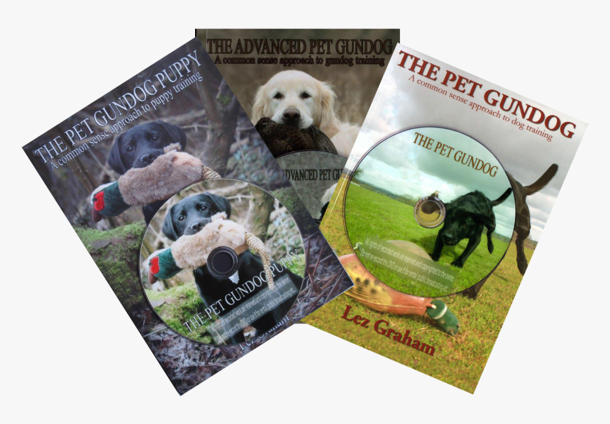 Transparent Labrador Retriever Clipart - Golden Retriever, HD Png Download