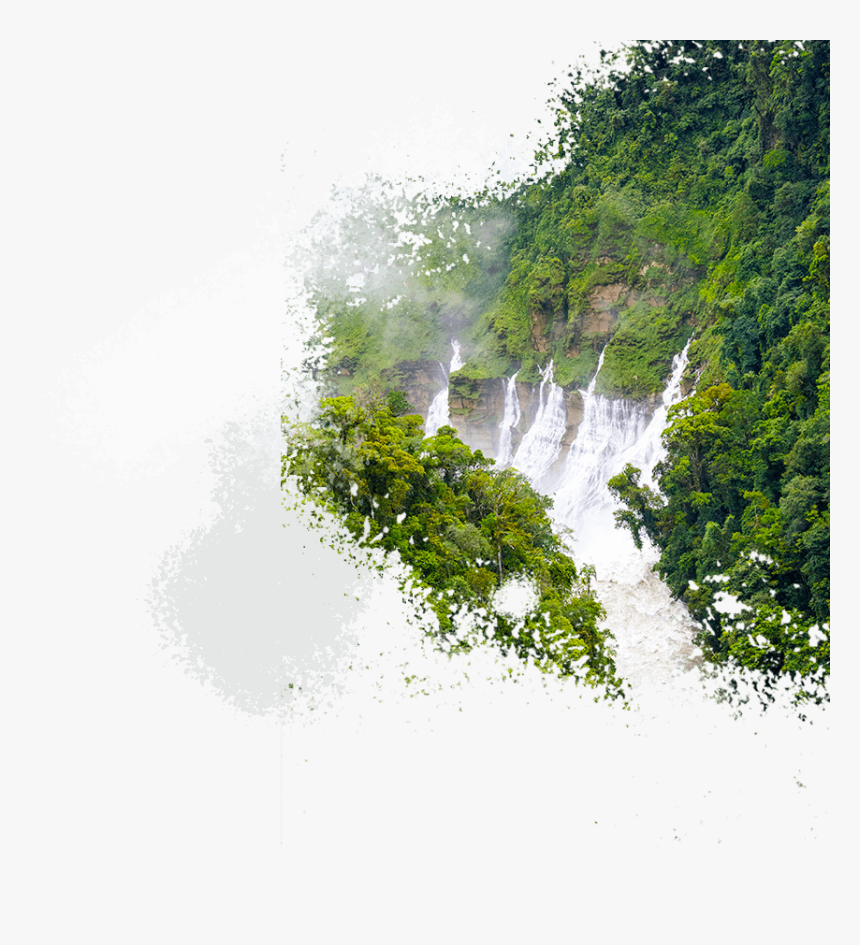 Transparent Deforestation Png - Forest Png, Png Download