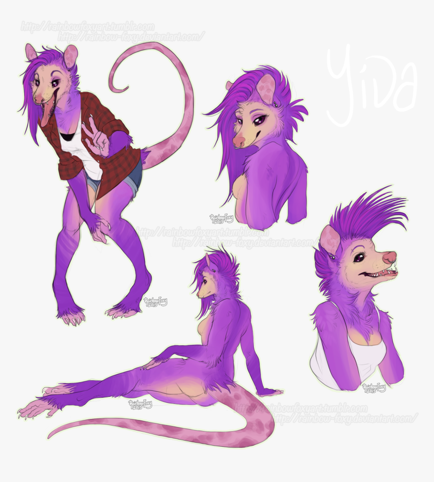 Transparent Possum - Furry Possum, HD Png Download