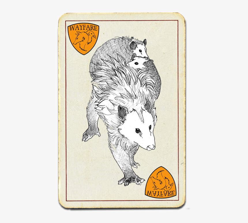 Opossum - Rat, HD Png Download