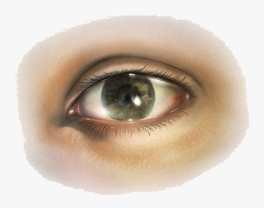 Real Brown Eyes Png - bmp-flow