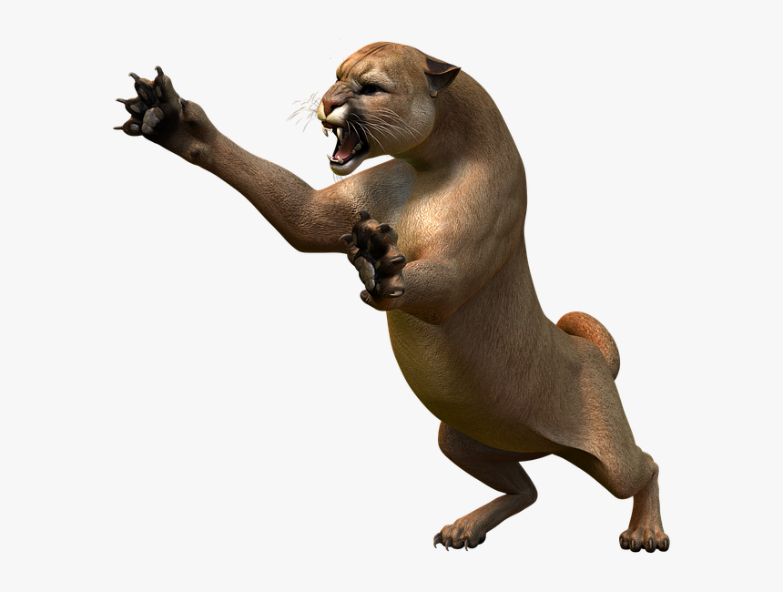 Transparent Lion Png - Mountain Lion Png, Png Download