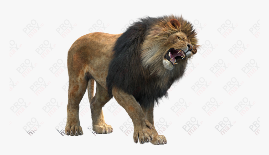 Masai-lion - 3d Images Png Lion, Transparent Png