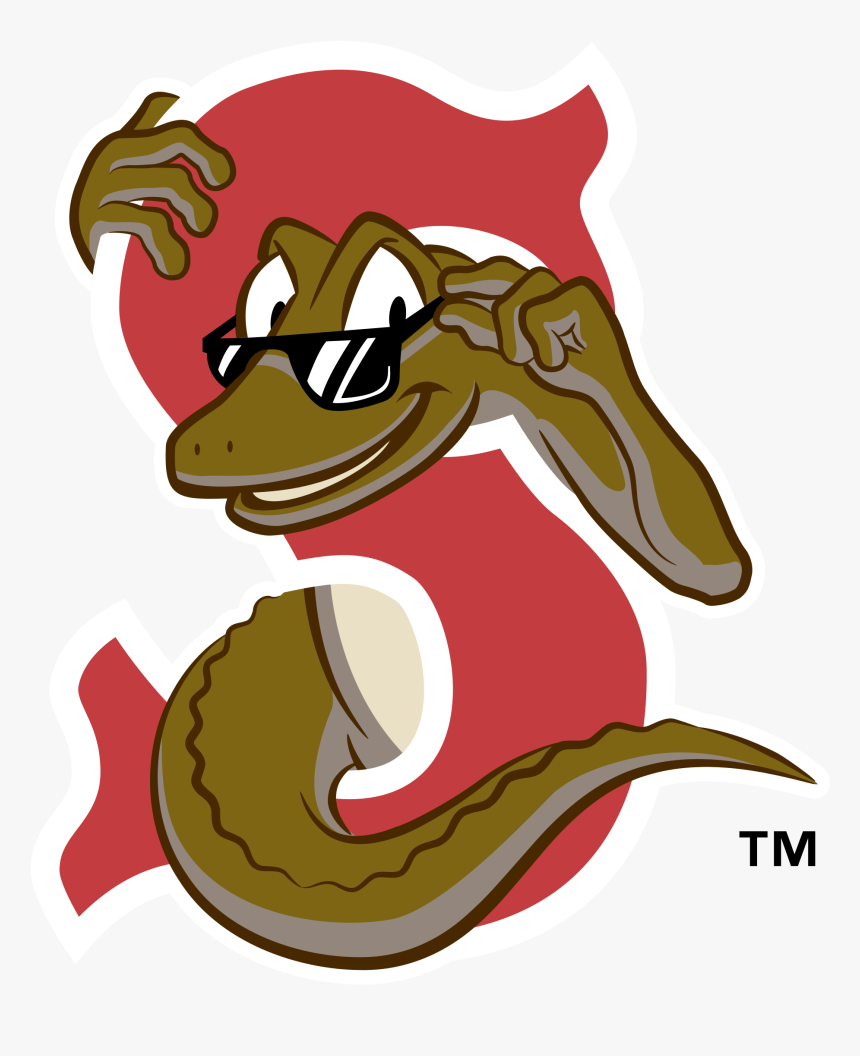 Sarasota Red Sox Logo Png Transparent - Sarasota Red Sox Logo, Png Download